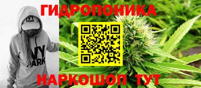 стафф Дубна