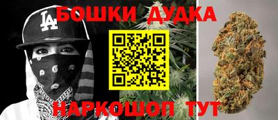 стафф Дубна