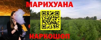 стафф Дубна