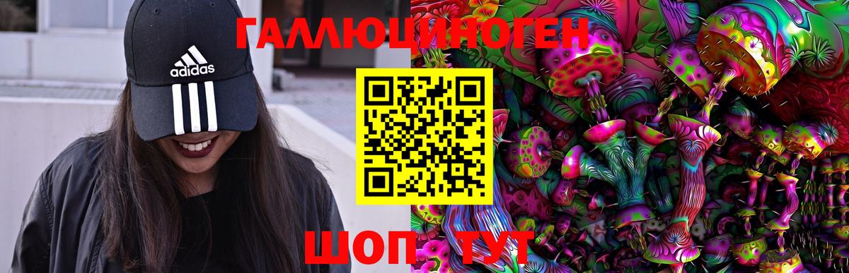 Галлюциногенные грибы прущие грибы  Вход с VPN  купить  сайты  Нефтекумск 